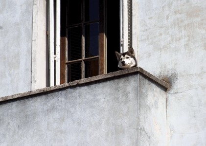 lsp_photo_displaced