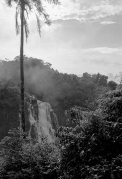 lsp_photo_mistyiguazu