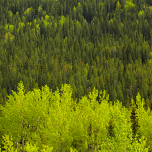 lsp_photo_peaks_2253