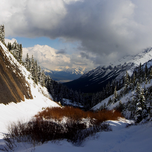 lsp_photo_peaks_3240