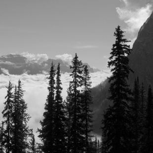 lsp_photo_peaks_8314