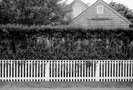 lsp_photo_picketfence