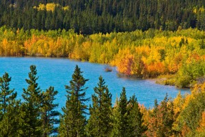 Lake Abraham, Near Nordegg, Alberta